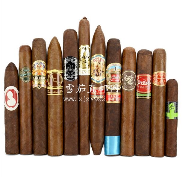 雪茄生活方式10支雪茄组合包/Cigar Lifestyle Top Ten Sampler 10-Pack